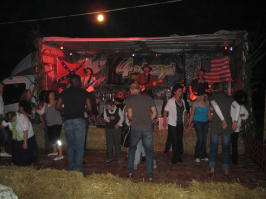 bild033